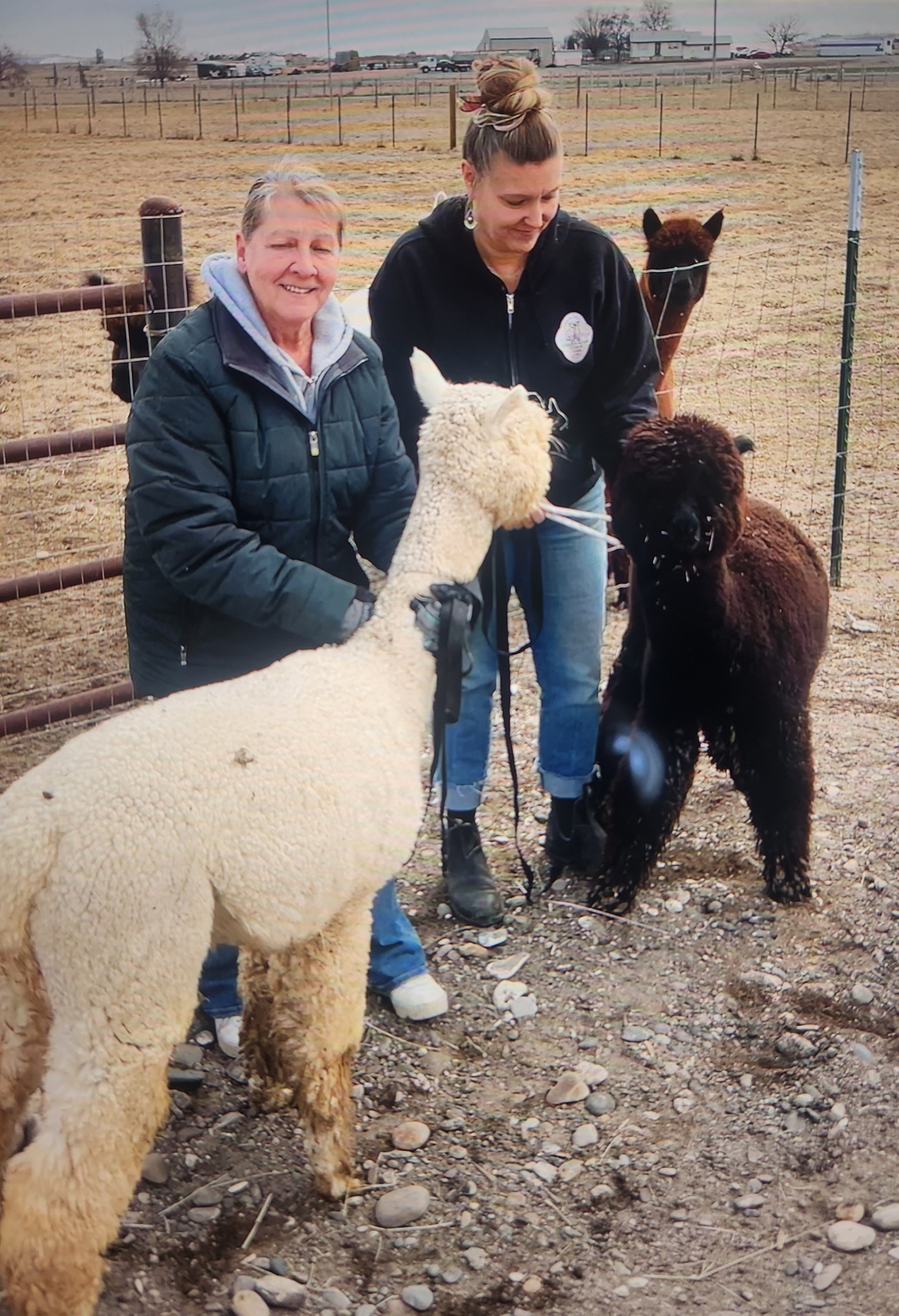 Family standing with alpacas at Owyhee River Alpaca Farm