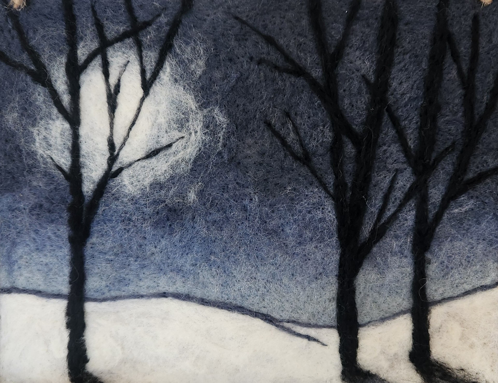 Moonlit Birches